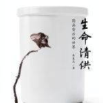 Chinese Kindle Book: Beijing University Press, B09MQCBW37-0