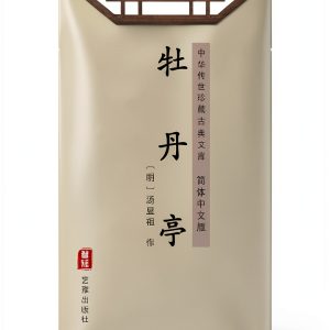 Chinese Kindle Book by 艺雅出版社 - 160 Pages, 423 KB-0