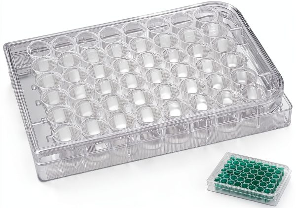48 Holes Cell Culture Plate, Capsule Filling Tray, Tube Rack, Tissue Culture Plate for Lab-0