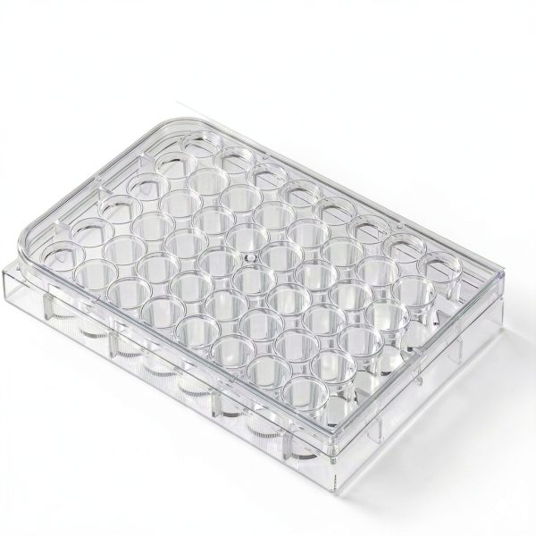 48 Holes Disposable Serving Tray TEHAUX Ceramic Well Plate Size 2-1