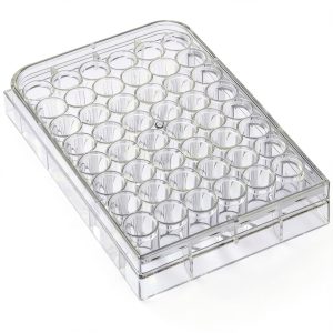 48 Holes Disposable Serving Tray TEHAUX Ceramic Well Plate Size 2-0