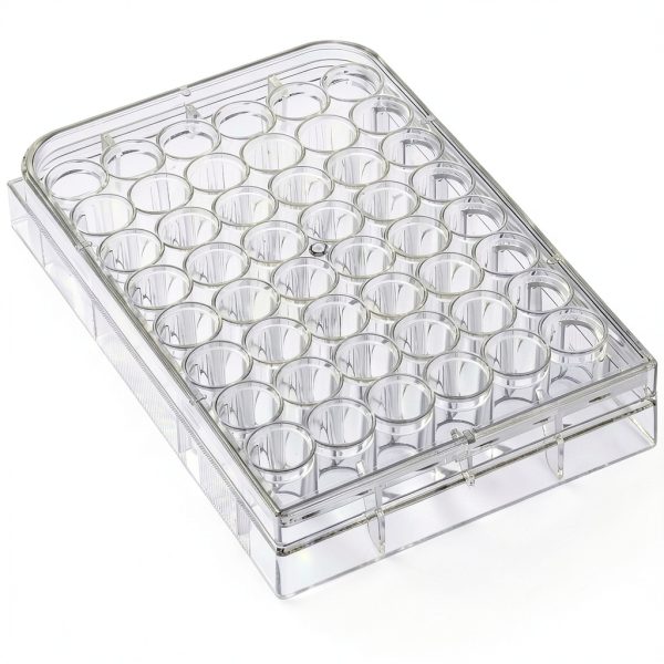 48 Holes Disposable Serving Tray TEHAUX Ceramic Well Plate Size 2-0